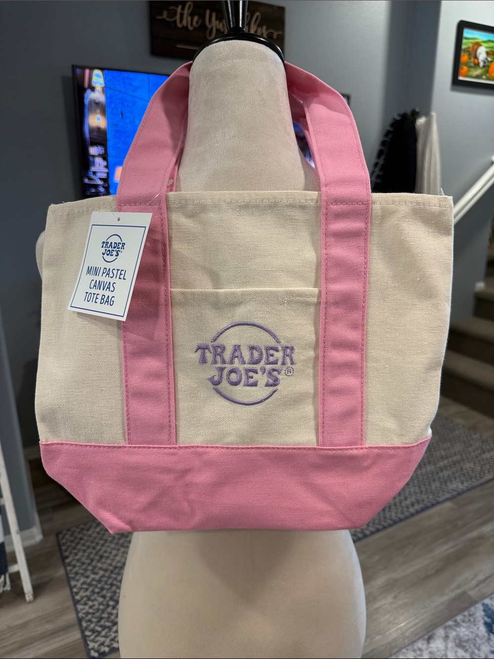 Mini Canvas Tote in Pink and Cream